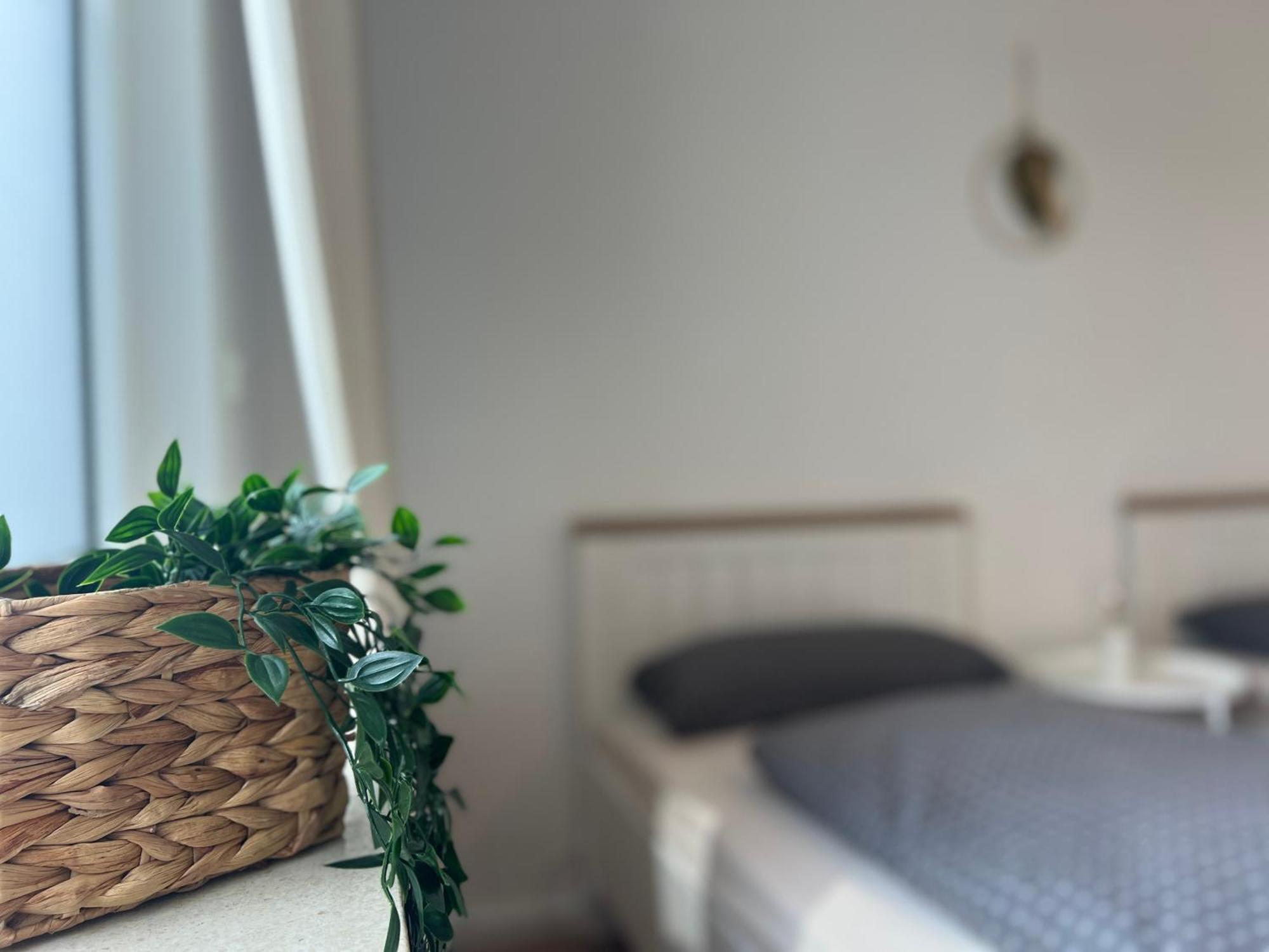Apartments-Bad Harzburg, Zentrale Ferienwohnung Eksteriør bilde